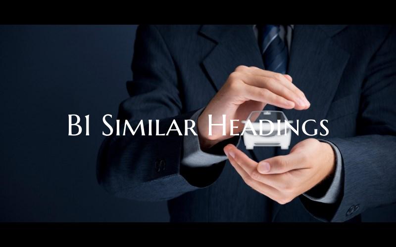 B1 Similar Headings